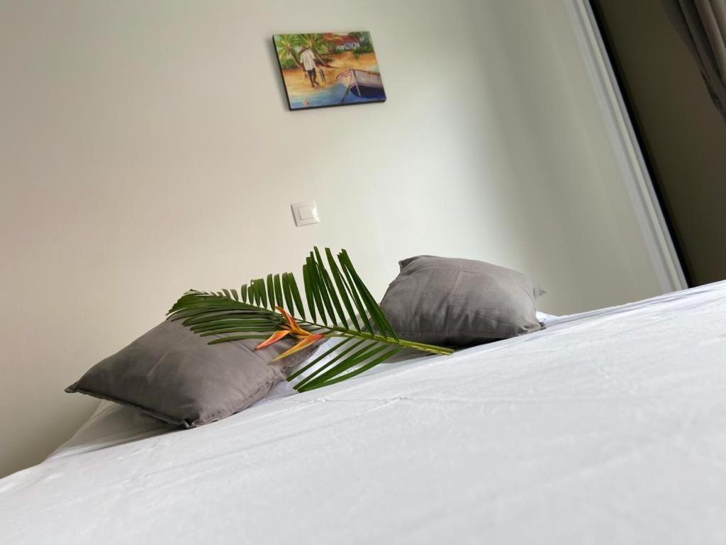 Residence Vwal O Van 2, Studio Plage A Proximite 상트 안느 외부 사진